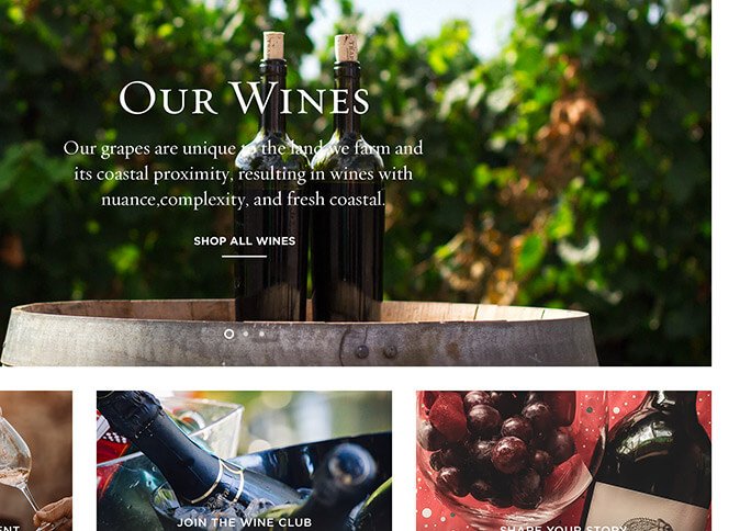 Peakshops - Fastest WooCommerce Theme