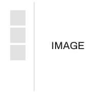 WooCommerce Theme Product Styles