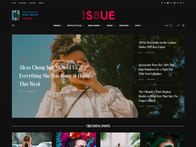 Magazine Theme Demo - 18